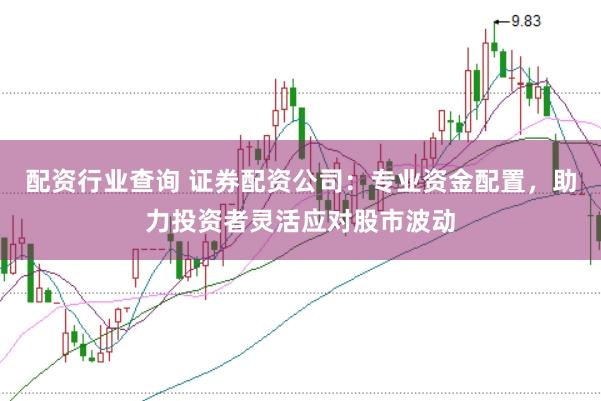 配资行业查询 证券配资公司：专业资金配置，助力投资者灵活应对股市波动
