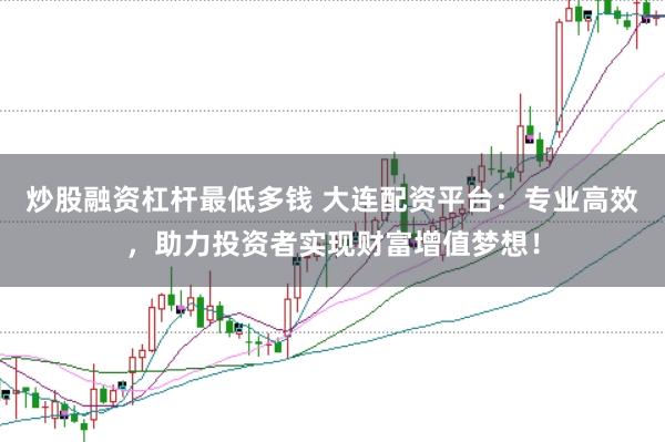 炒股融资杠杆最低多钱 大连配资平台：专业高效，助力投资者实现财富增值梦想！