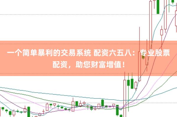一个简单暴利的交易系统 配资六五八：专业股票配资，助您财富增值！