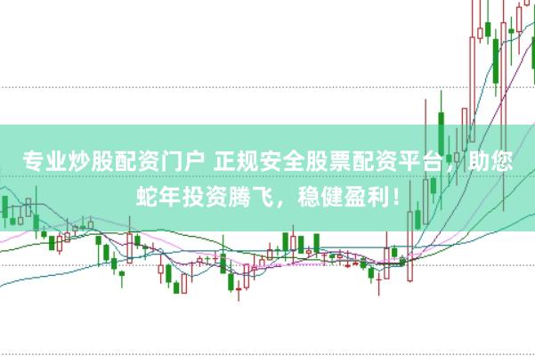专业炒股配资门户 正规安全股票配资平台，助您蛇年投资腾飞，稳健盈利！