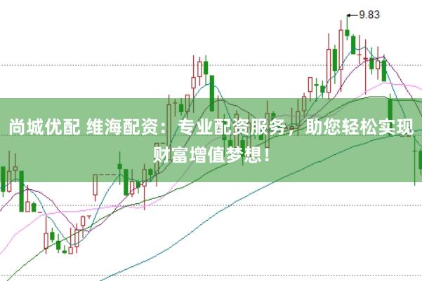 尚城优配 维海配资：专业配资服务，助您轻松实现财富增值梦想！
