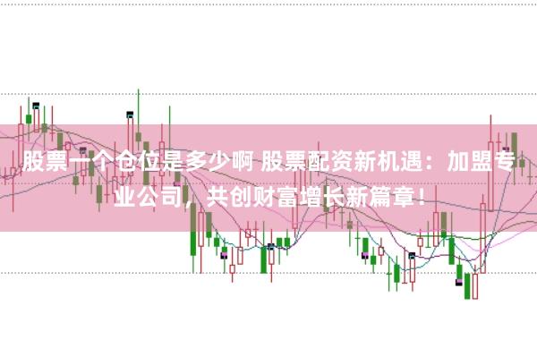 股票一个仓位是多少啊 股票配资新机遇：加盟专业公司，共创财富增长新篇章！