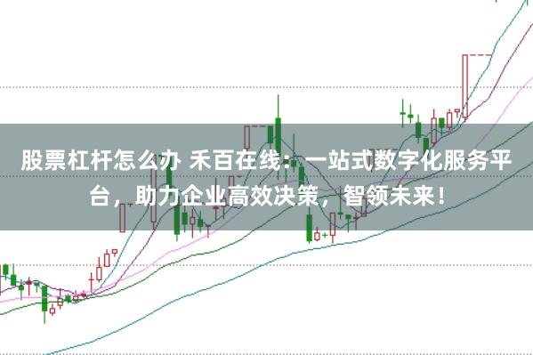 股票杠杆怎么办 禾百在线：一站式数字化服务平台，助力企业高效决策，智领未来！