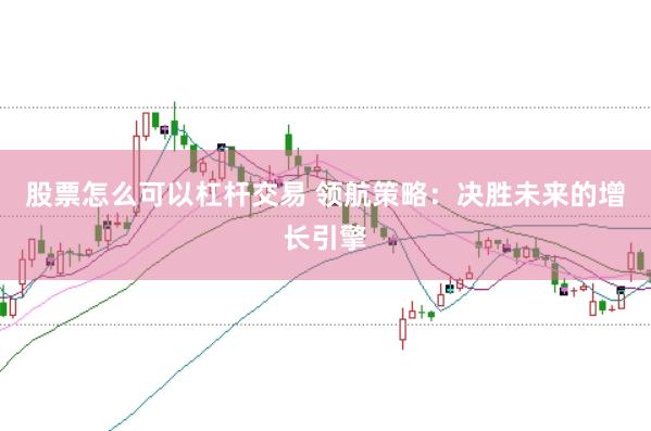 股票怎么可以杠杆交易 领航策略：决胜未来的增长引擎