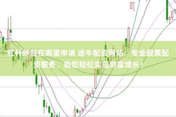 杠杆炒股在哪里申请 途牛配资网站：专业股票配资服务，助您轻松实现财富增长！