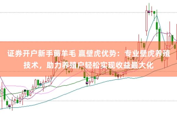 证券开户新手薅羊毛 赢壁虎优势：专业壁虎养殖技术，助力养殖户轻松实现收益最大化