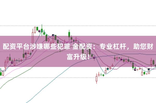 配资平台涉嫌哪些犯罪 金配资：专业杠杆，助您财富升级！