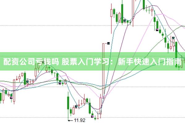 配资公司亏钱吗 股票入门学习：新手快速入门指南