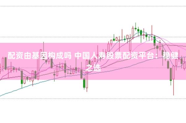 配资由基因构成吗 中国人寿股票配资平台：稳健之选