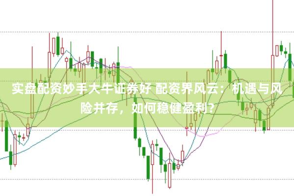 实盘配资妙手大牛证券好 配资界风云：机遇与风险并存，如何稳健盈利？
