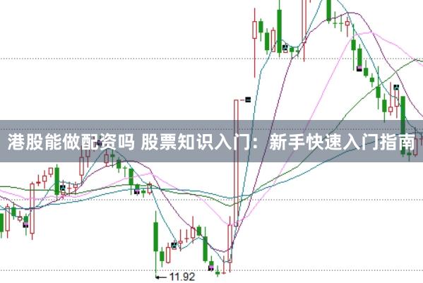 港股能做配资吗 股票知识入门：新手快速入门指南