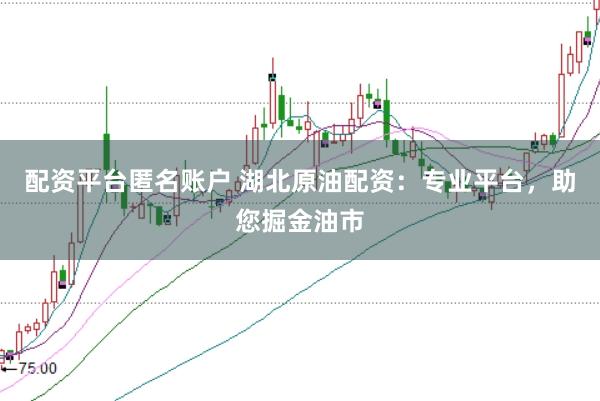 配资平台匿名账户 湖北原油配资：专业平台，助您掘金油市
