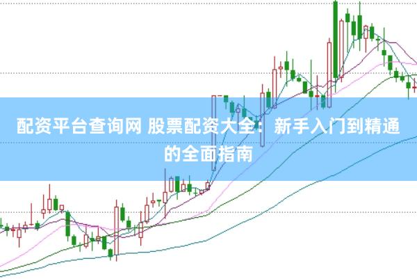 配资平台查询网 股票配资大全：新手入门到精通的全面指南