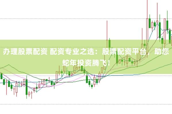 办理股票配资 配资专业之选：股票配资平台，助您蛇年投资腾飞！
