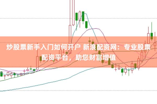 炒股票新手入门如何开户 新浪配资网：专业股票配资平台，助您财富增值