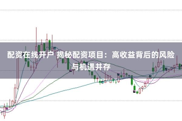 配资在线开户 揭秘配资项目：高收益背后的风险与机遇并存