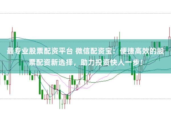 最专业股票配资平台 微信配资宝：便捷高效的股票配资新选择，助力投资快人一步！