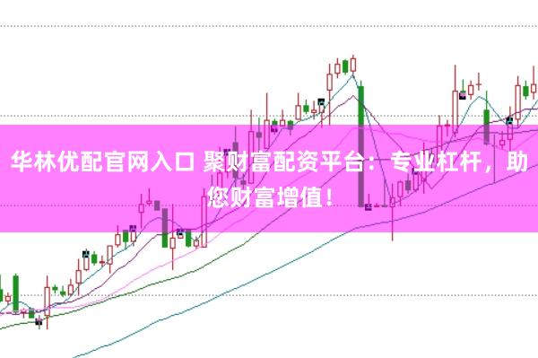 华林优配官网入口 聚财富配资平台：专业杠杆，助您财富增值！