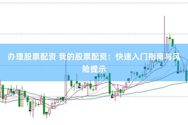 办理股票配资 我的股票配资：快速入门指南与风险提示