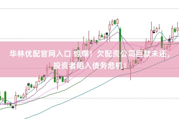 华林优配官网入口 惊爆！欠配资公司巨款未还，投资者陷入债务危机！