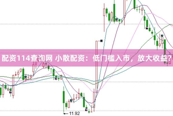 配资114查询网 小散配资：低门槛入市，放大收益？