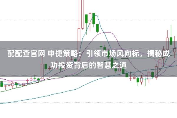配配查官网 申捷策略：引领市场风向标，揭秘成功投资背后的智慧之道