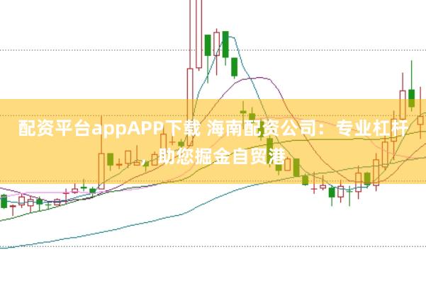 配资平台appAPP下载 海南配资公司:专业杠杆,助您掘金自贸港