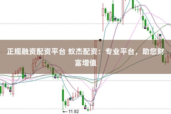 正规融资配资平台 蚁杰配资:专业平台,助您财富增值