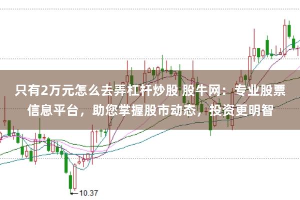 只有2万元怎么去弄杠杆炒股 股牛网：专业股票信息平台，助您掌握股市动态，投资更明智
