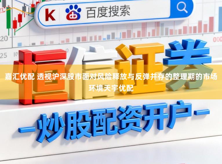 嘉汇优配 透视沪深股市面对风险释放与反弹并存的整理期的市场环境天宇优配