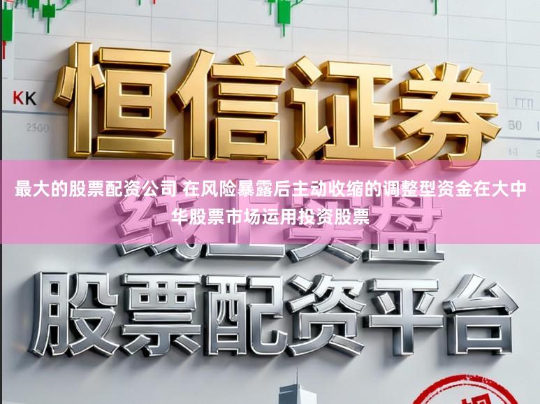 最大的股票配资公司 在风险暴露后主动收缩的调整型资金在大中华股票市场运用投资股票