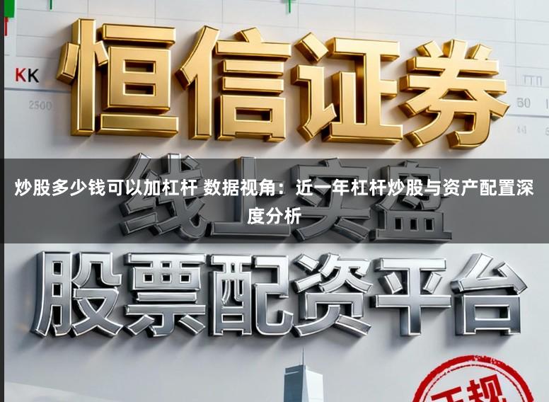 炒股多少钱可以加杠杆 数据视角:近一年杠杆炒股与资产配置深度分析