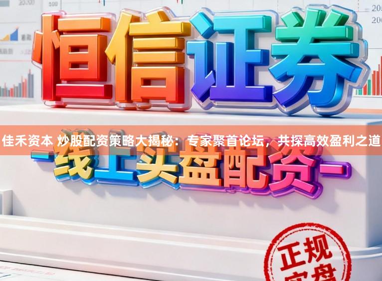 佳禾资本 炒股配资策略大揭秘:专家聚首论坛,共探高效盈利之道